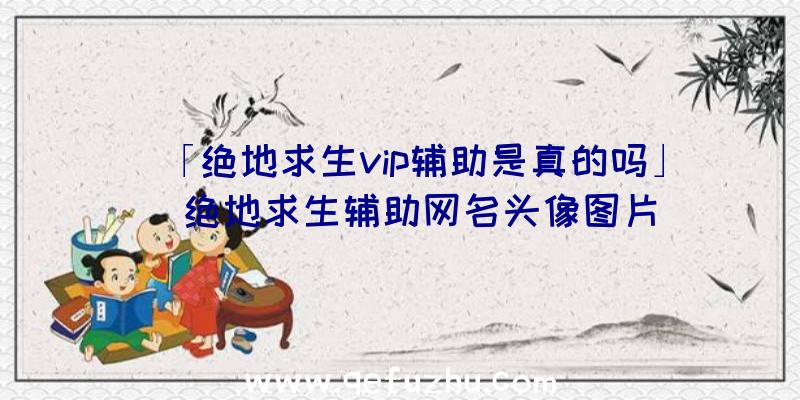 「绝地求生vip辅助是真的吗」|绝地求生辅助网名头像图片